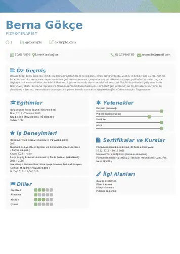 Fizyoterapist Cv Örnekleri cv indir